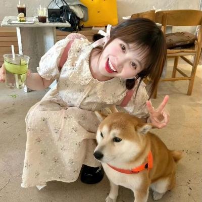 骨头先生